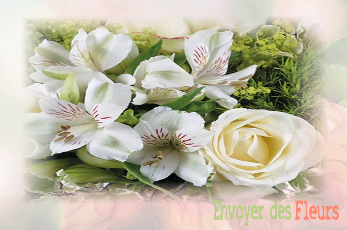 envoyer des fleurs à à SAINT-DIDIER-SOUS-RIVERIE